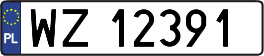 WZ12391