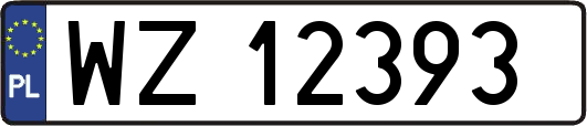 WZ12393