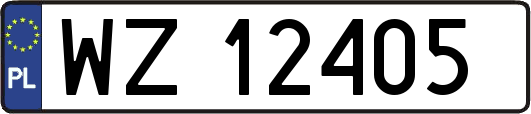 WZ12405