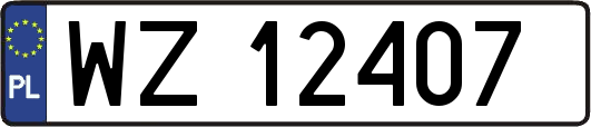 WZ12407