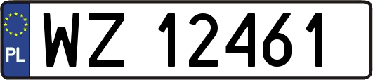 WZ12461