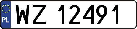 WZ12491