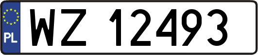 WZ12493