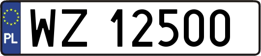 WZ12500