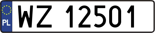 WZ12501