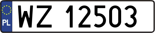 WZ12503