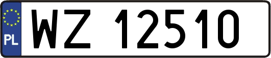 WZ12510