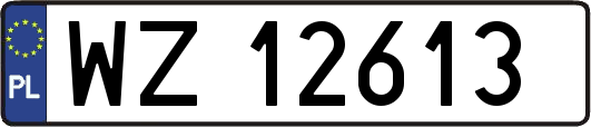 WZ12613