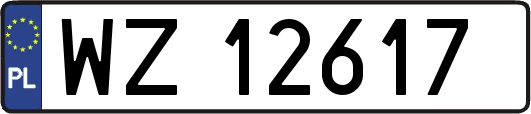 WZ12617