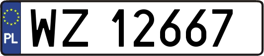 WZ12667