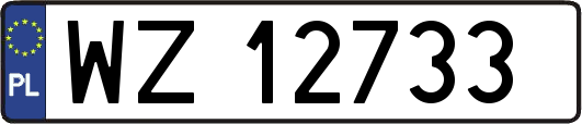 WZ12733