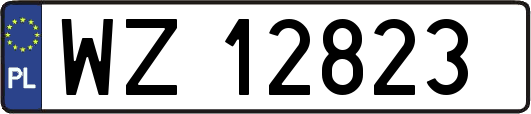 WZ12823