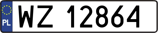 WZ12864