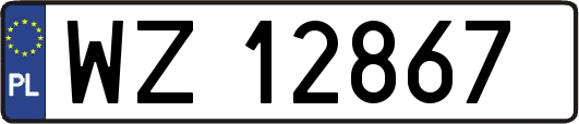 WZ12867
