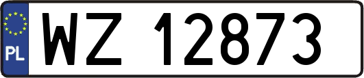 WZ12873