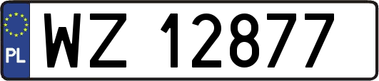 WZ12877