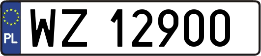 WZ12900