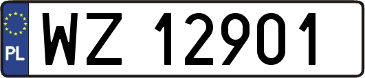 WZ12901