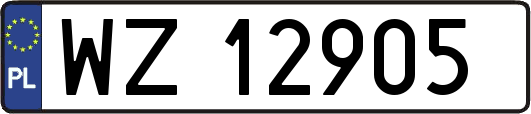 WZ12905