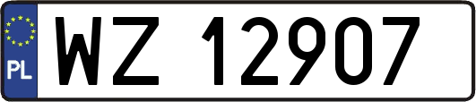 WZ12907