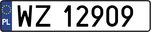 WZ12909