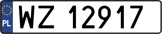 WZ12917