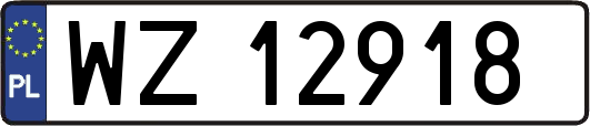 WZ12918
