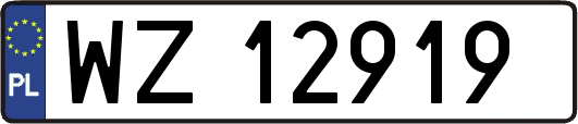 WZ12919