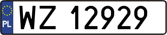 WZ12929