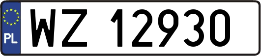 WZ12930