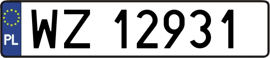 WZ12931
