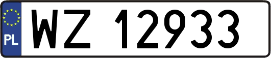 WZ12933