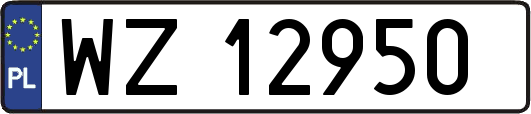 WZ12950