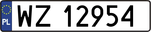 WZ12954