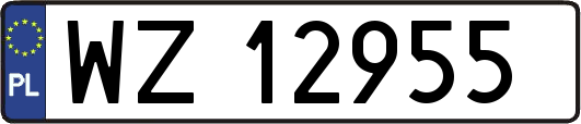 WZ12955
