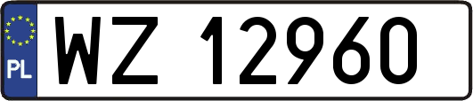 WZ12960