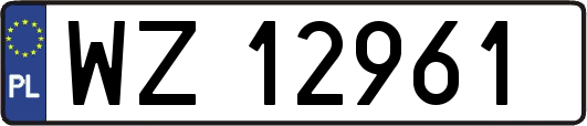 WZ12961