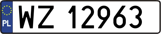 WZ12963