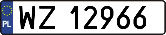 WZ12966