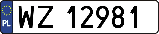 WZ12981