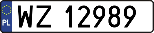 WZ12989
