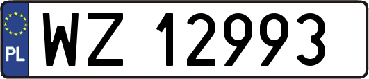 WZ12993