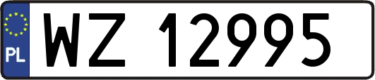 WZ12995