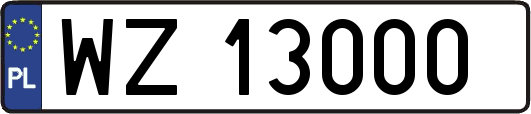WZ13000