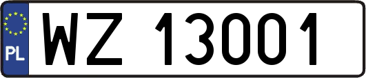 WZ13001