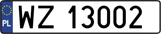 WZ13002