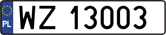 WZ13003