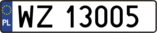 WZ13005