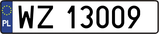 WZ13009