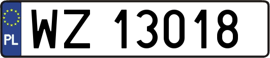 WZ13018